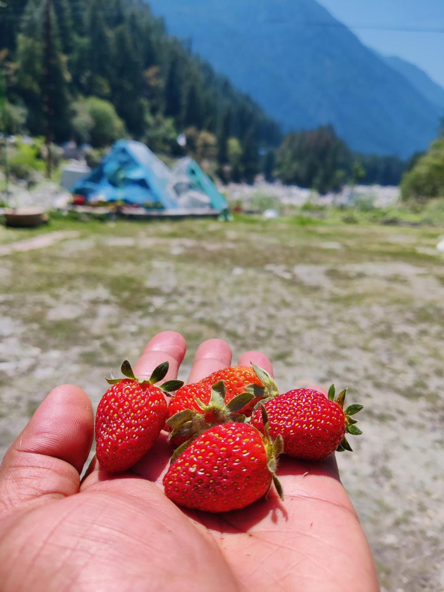 Flipsyde Retreat Hotel Kasol Exterior photo